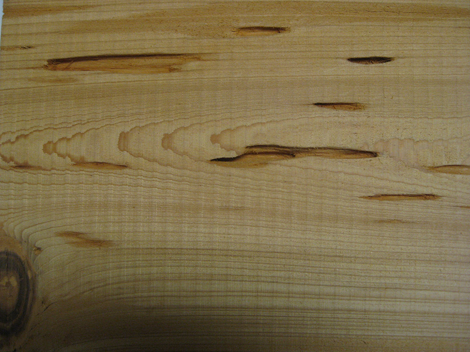 Cypress Wood & Lumber - Pecky Cypress. 